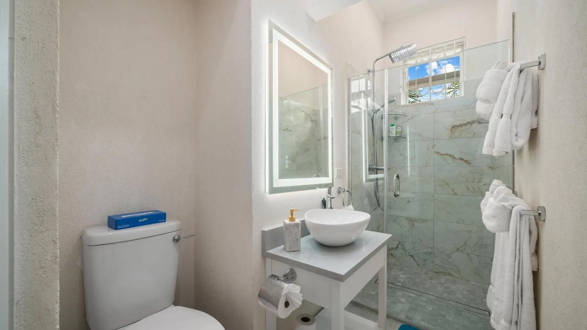 Paradise Villa Saint James